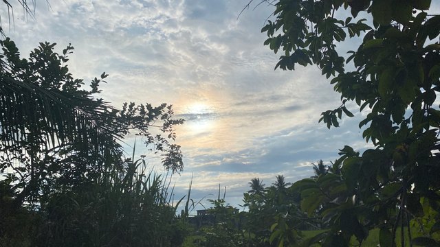 IMG_1648.jpeg