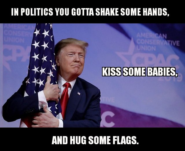 trumflag_body_politik.jpg