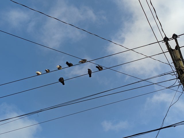 1000051510.jpg