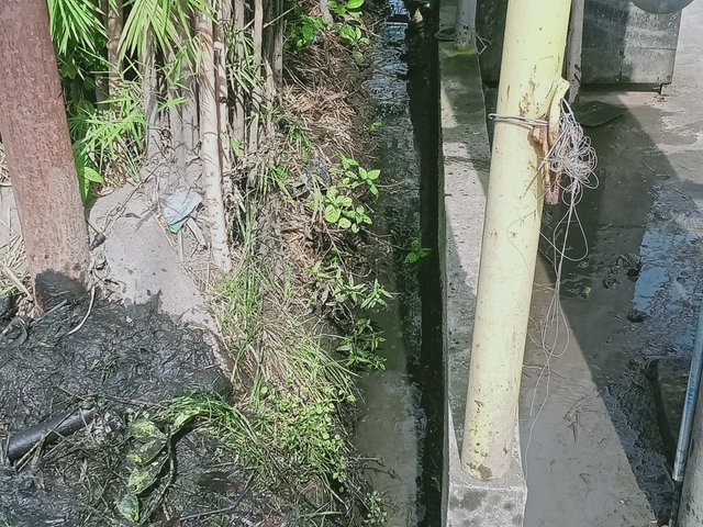 IMG20250308094500.jpg