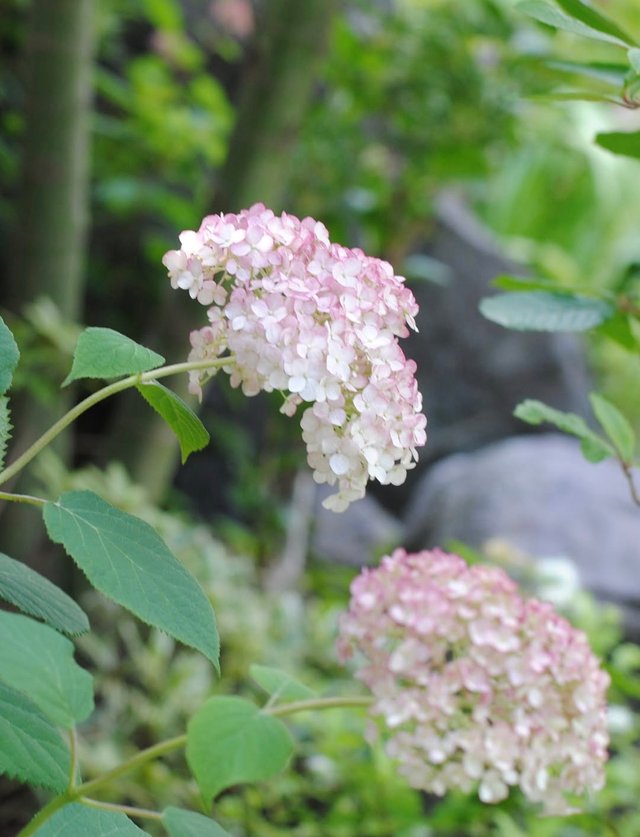 IMG_20250607_071707.jpg