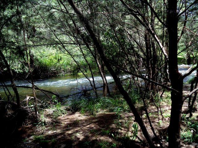 DSC01784.JPG