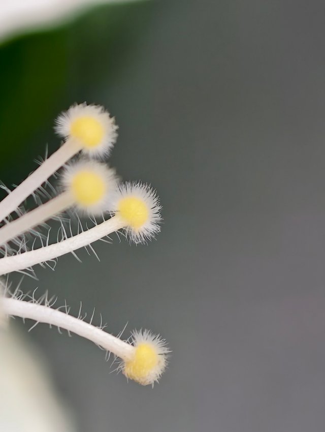IMG_20250625_094350.jpg