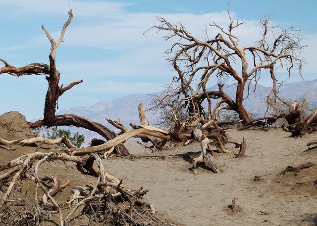 death-valley-89261_1920.jpg