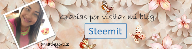 gracias por visitar steemit.png