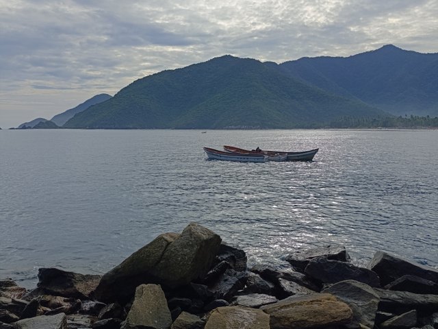 IMG_20250808_000553.jpg