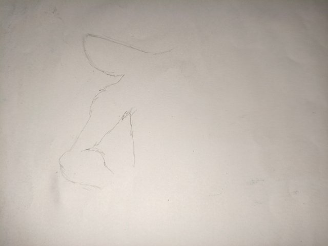 1000064477.jpg