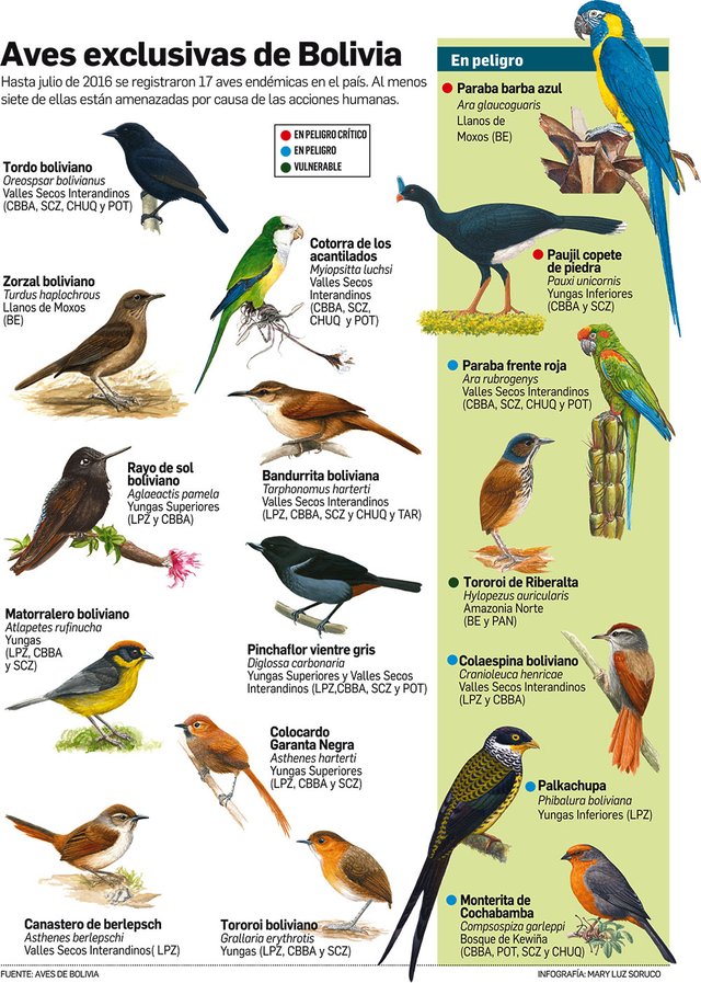 25.-Los-pajaros-en-la-filatelia-latinoamericana-Bolivia-aves-en-peligro.jpg