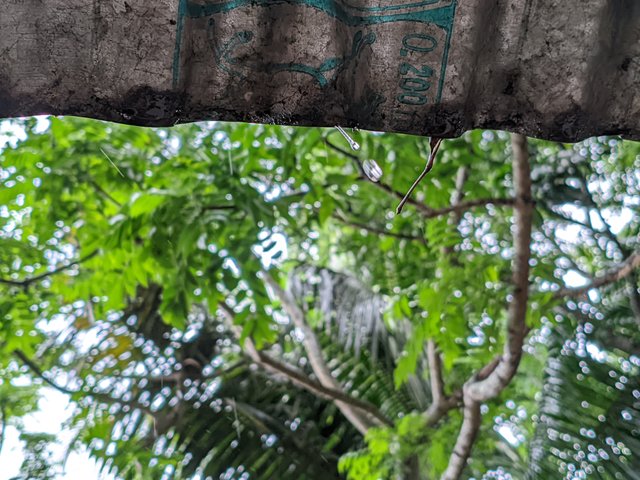 1000032271.jpg