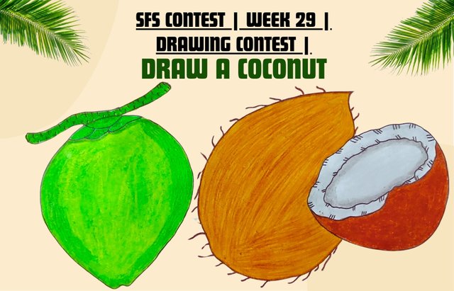 SFS Contest  Week 29 Drawing Contest  Draw A Coconut.jpg