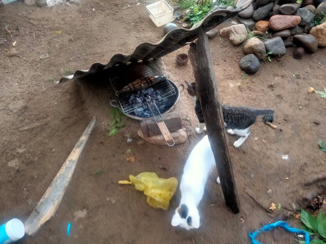 IMG20250712170229.jpg