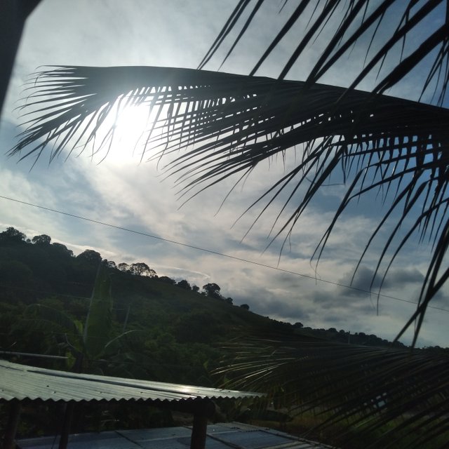 20250403_164216.jpg