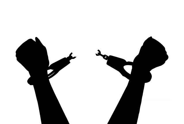 freedom-4131476_640.png