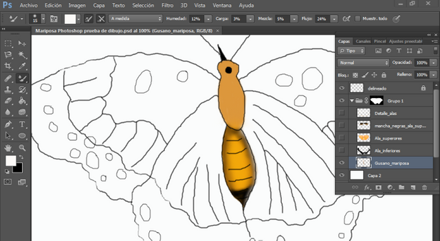 Captura pantalla completa dibujo mariposa coloreo5 photoshop.PNG