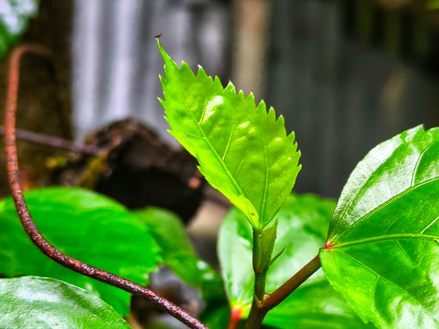 IMG_20250714_155837.
