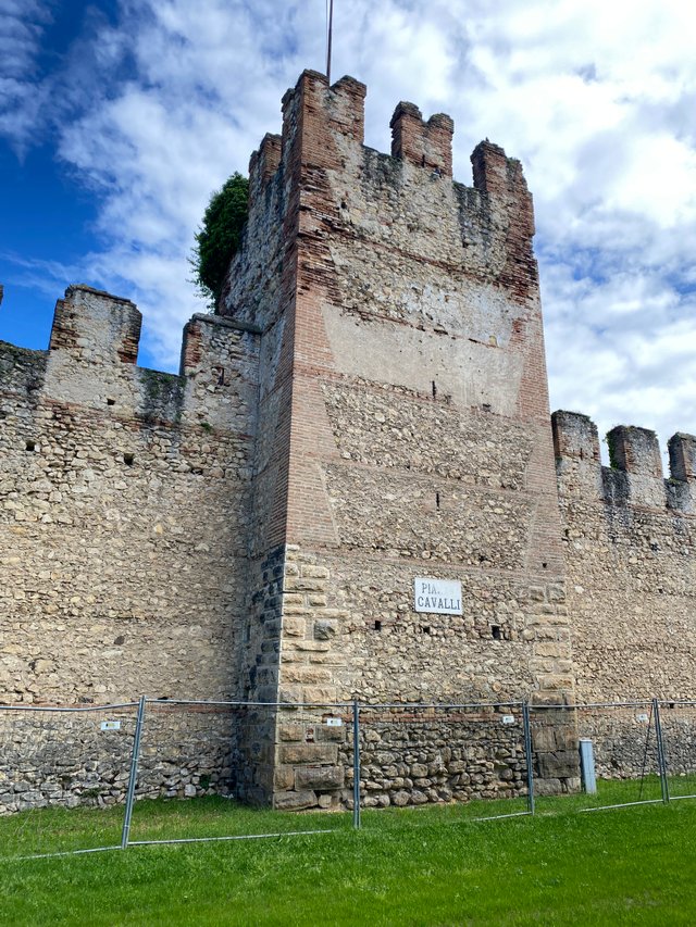 IMG_8184.JPG