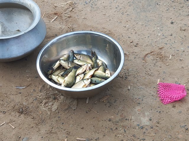 20250907_071850.jpg