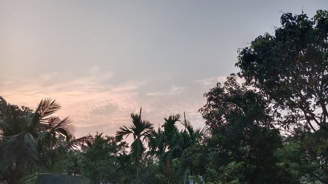 IMG_20250403_075651_342.jpg