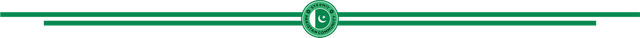 Steem Pakistan Divider 2.png