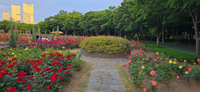 KakaoTalk_20250605_220126977_14.jpg