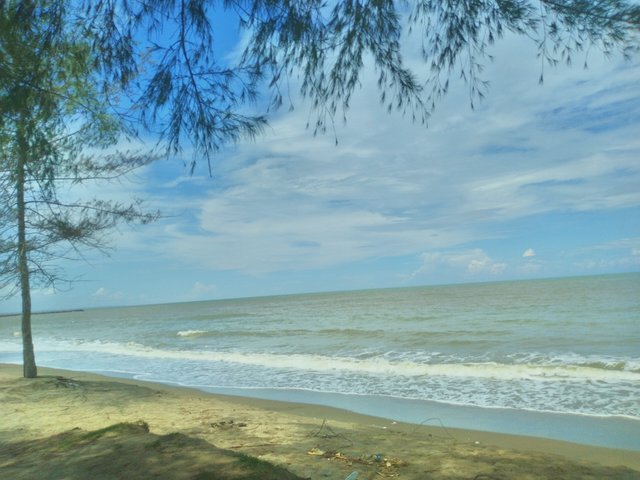 IMG_20241103_121753_HDR.jpg