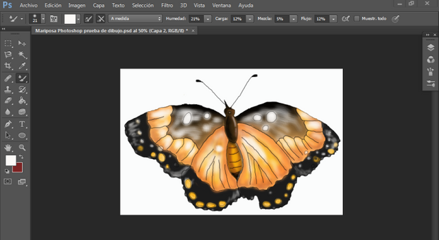 Captura pantalla completa dibujo mariposa coloreo7 photoshop.PNG