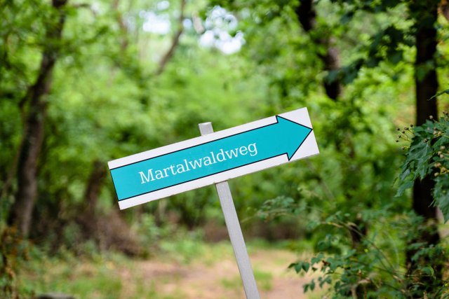 Martalwaldweg-4 (2).jpg