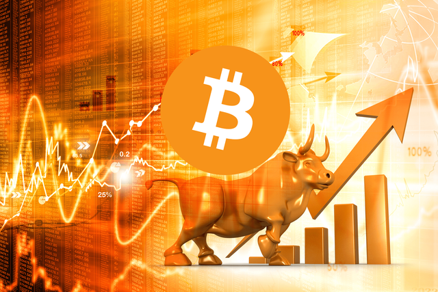 bitcoin-bull-market.png