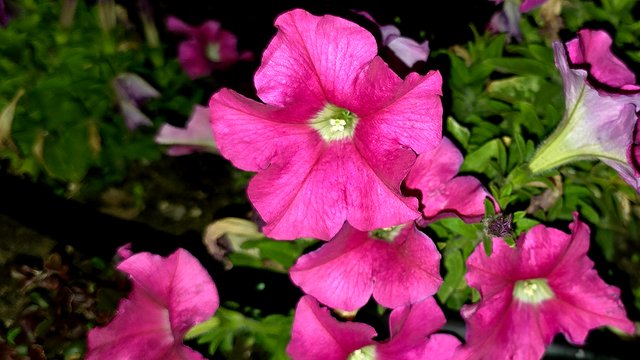 20241211_025819.jpg