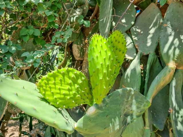 20250829_111950.jpg