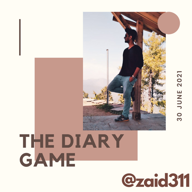 The Diary Game (5).png