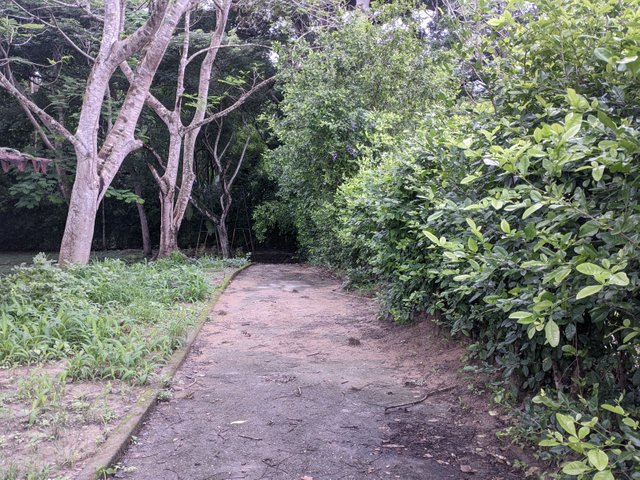 PXL_20250507_104901429.jpg
