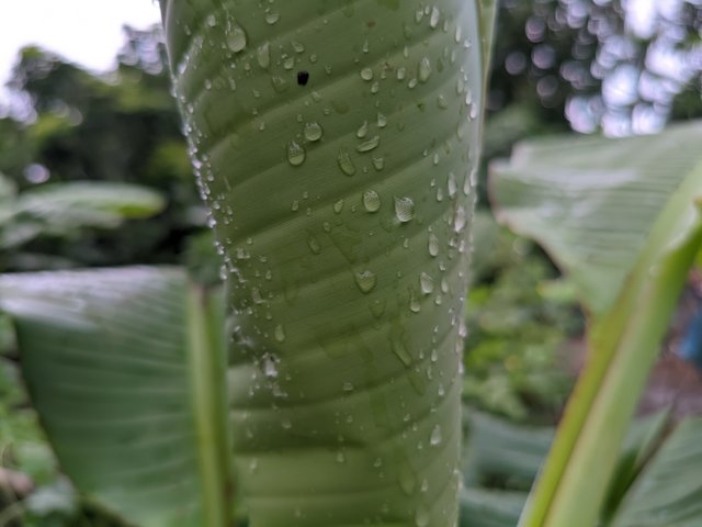 1000039255.jpg