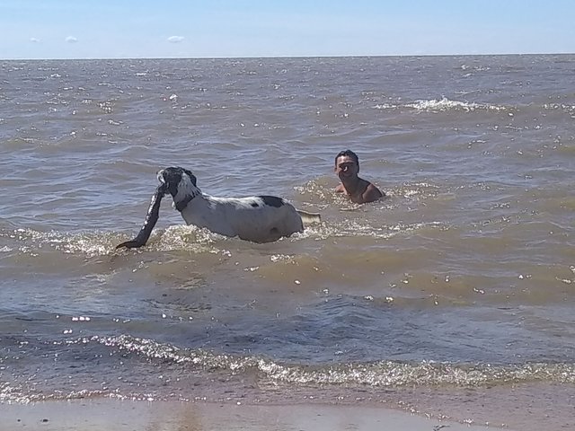 Lake Winnipeg 34a.jpg