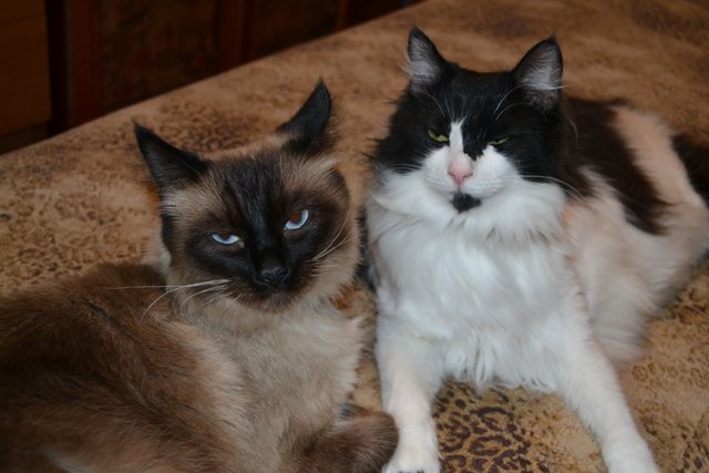 DSC_0091.JPG