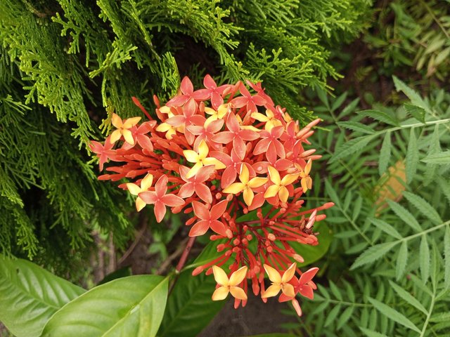 IMG_20250922_131308_352.jpg