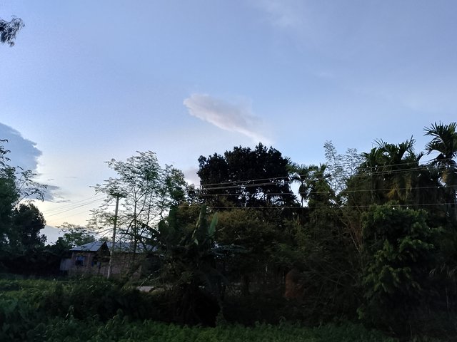 1000042899.jpg