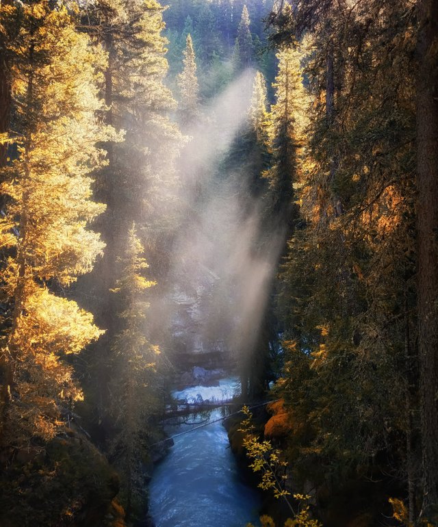 20170606_090839-sunlight-rays-through-mist-johnston-canyon-1200.jpg