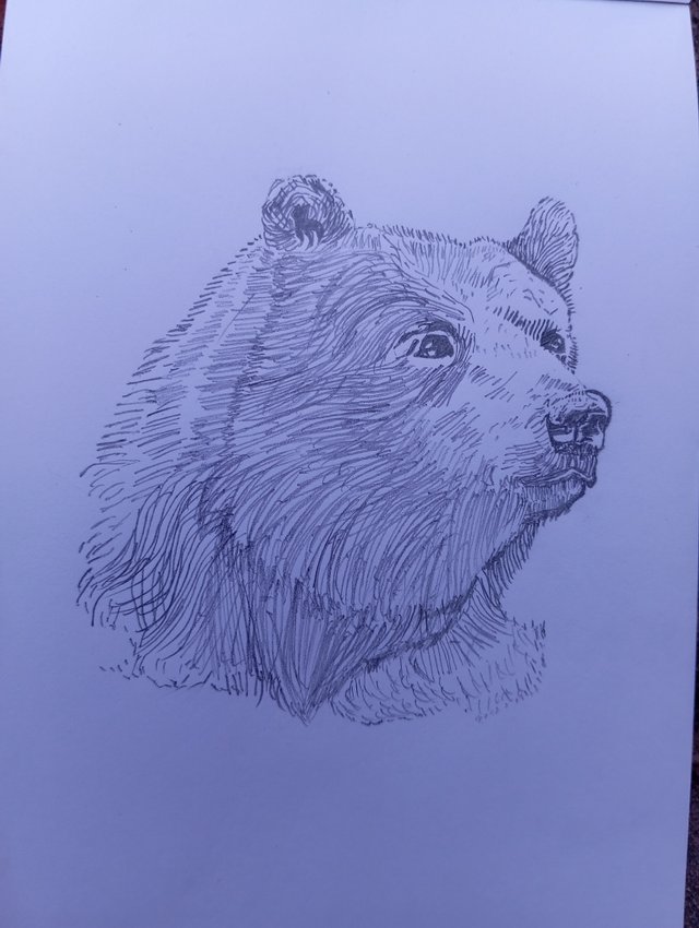 1000069380.jpg