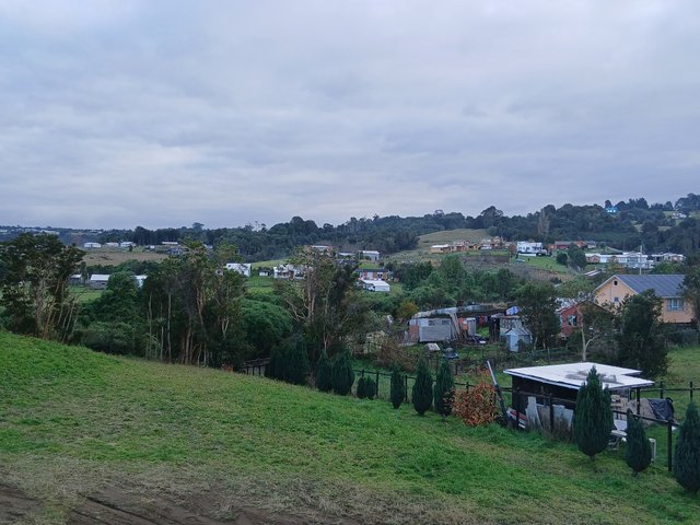 1000037041.jpg