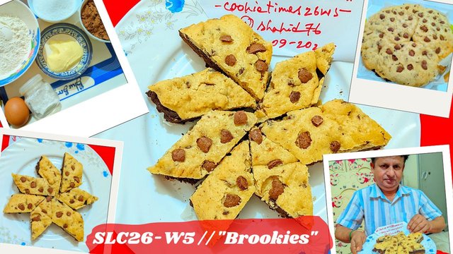 SLC26-W5  Brookies.jpg