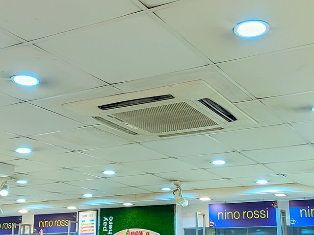 1000037295.jpg