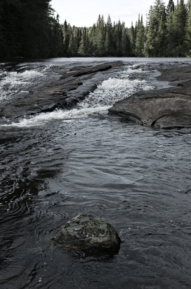 DSC_2134.jpg