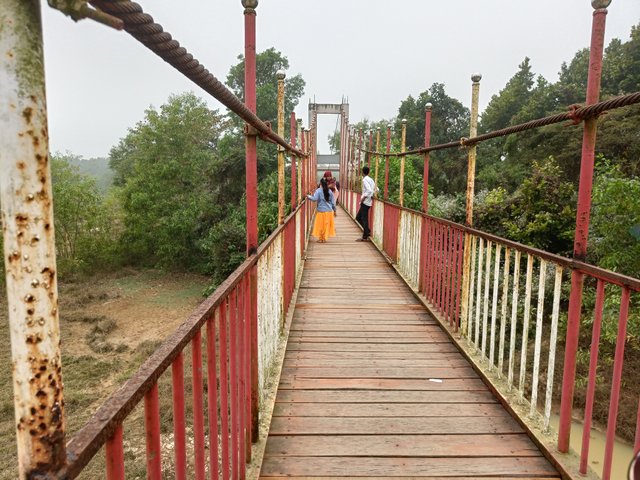 IMG20250103122958.jpg