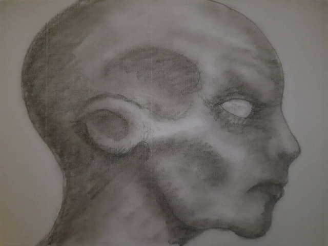 20250624_102125.jpg