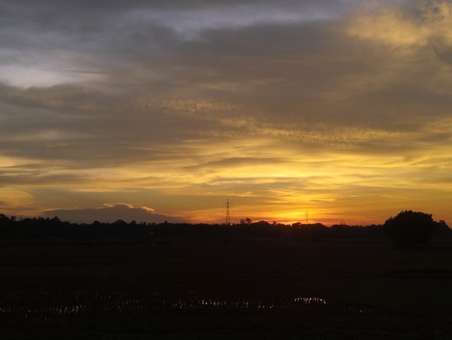 IMG_20250530_184426.jpg