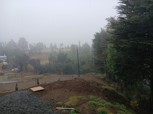 20250730_145745.jpg