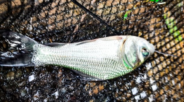 20210802_222111.jpg