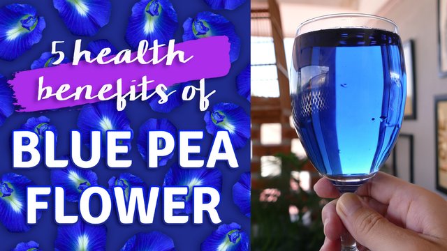 What You Need to Know About the Wildly Popular Butterfly Pea Flower