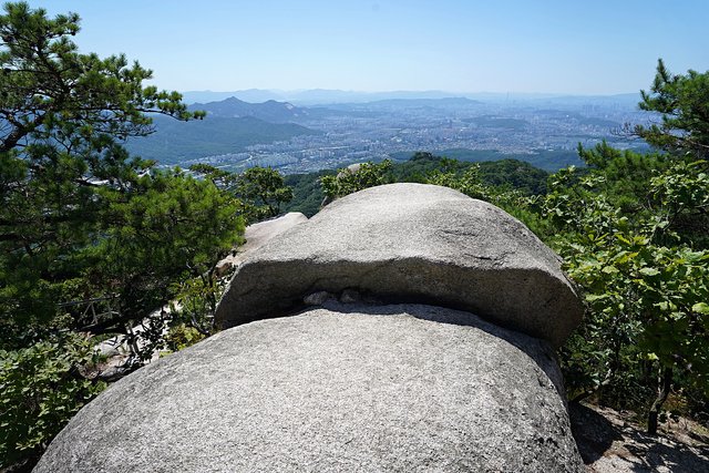 b-DSC08963.JPG